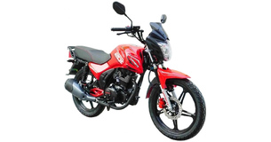 Viper V200P (ZS200-2)