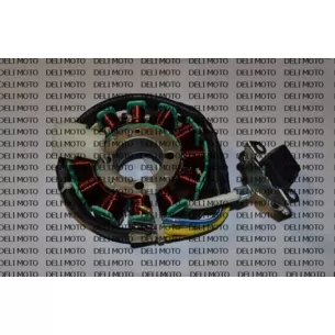 Генератор ZONGSHEN ZS200-48A (12 катушек)