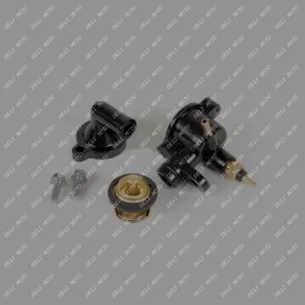 Термостат (в сборе) MUSSTANG MT150/200/250-4V