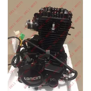 Двигатель в сборе (166FMM) Loncin LX250GY-3 250 кубов