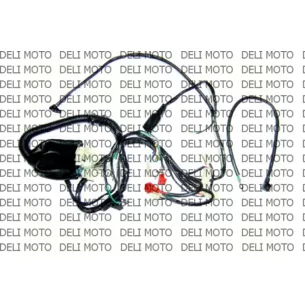 Центральная проводка VIPER MX200R