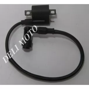 Катушка зажигания MUSSTANG MT200-250