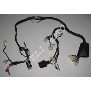 Электропроводка G-MAX RACER 250 (ORIGINAL)