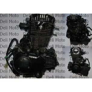 Двигатель в сборе VIPER V250L с баланс валом (СBB200)