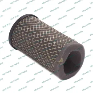 Воздушный фильтр в сборе SHINERAY INTRUDER XY200GY-4