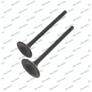 Клапана (впуск+выпуск) SHINERAY INTRUDER XY200GY-4