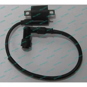 Катушка зажигания Spark SP200R 28