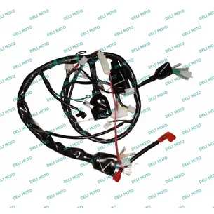 Проводка центральная в сборе Spark SP200R 28
