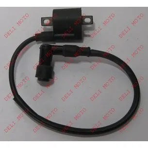 Катушка зажигания FORTE CROSS 300