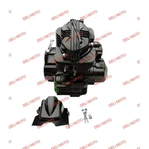 Двигатель 4-х тактный бензиновыйZS167 FMM Spark SP250D-1