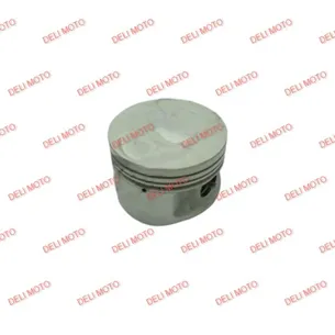 Поршень Spark SP250D-1