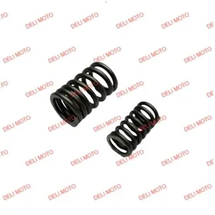 Пружина клапана к-т Spark SP250D-1