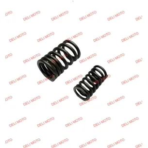 Пружина клапана к-т Spark SP200D-1