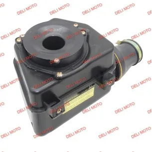 Воздушный фильтр в сборе Musstang Xteet 250 (RTS250-N)