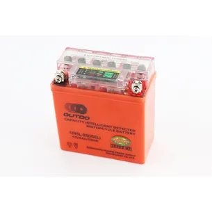 АКБ 12V5Ah 12N5L-BS GEL (L120*W60*H130mm) 