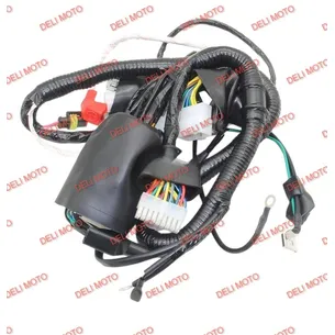 Проводка центральная Shineray XY250GY-6C (СXR 250)