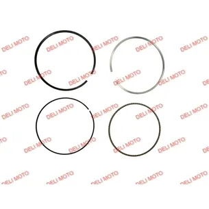 Кольца поршневые к-т (ZONGSHEN PR300) Spark SP300RS-2