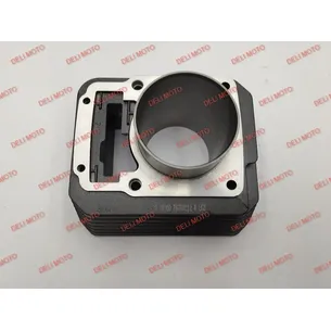 Цилиндр (ZONGSHEN PR300) Spark SP300RS-2